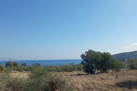 Land in Zakynthos, Greece No. 24621 3