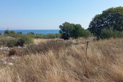 Land in Zakynthos, Greece No. 24621 6