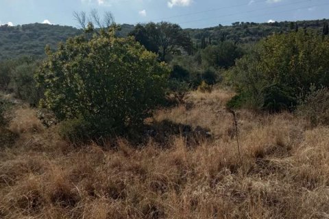 Land in Zakynthos, Greece No. 24621 7