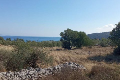 Land in Zakynthos, Greece No. 24621 4