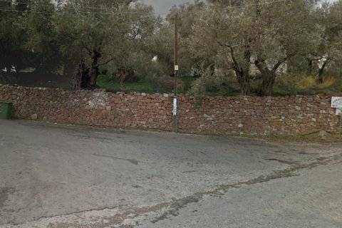 3888m² Land in Lesbos, Greece No. 57241 1