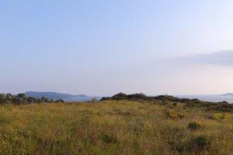 9200m² Land in Methoni, Greece No. 24477 4