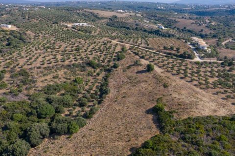 9200m² Land in Methoni, Greece No. 24477 11