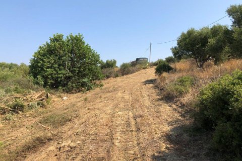 9200m² Land in Methoni, Greece No. 24477 15