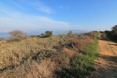 11000m² Land in Corfu, Greece No. 57798 2