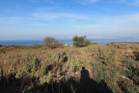 11000m² Land en Corfu, Greece No. 57798 1