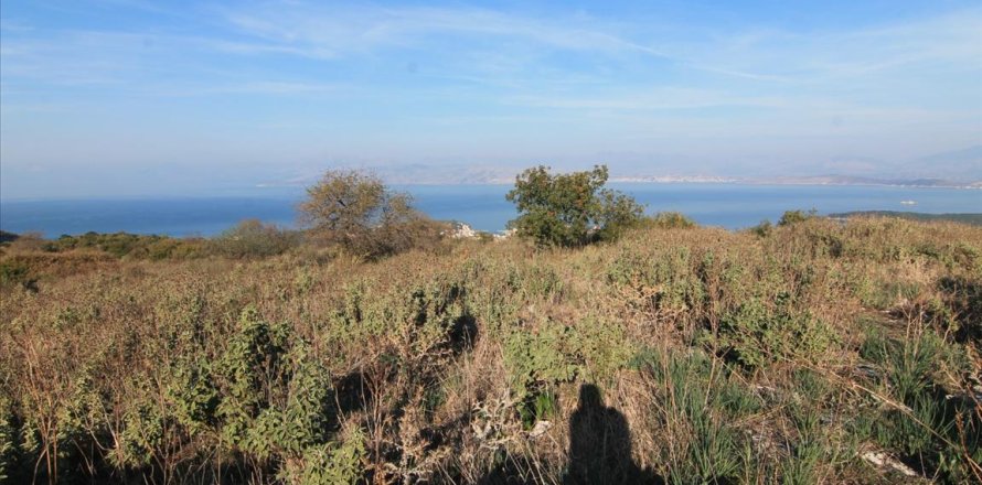 11000m² Land en Corfu, Greece No. 57798