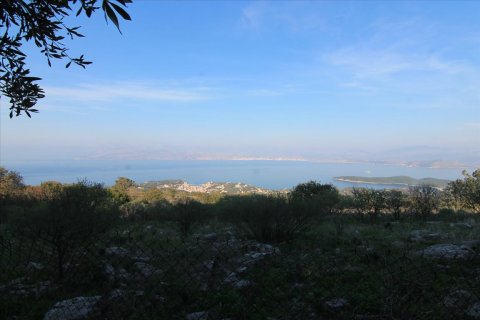 11000m² Land in Corfu, Greece No. 57798 4