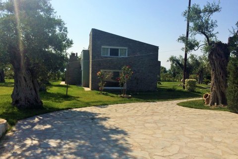 410m² Negocio en Thasos, Greece No. 57800 6