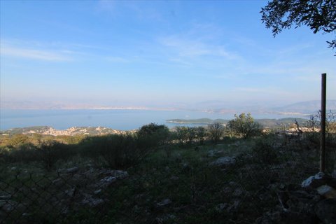 11000m² Land in Corfu, Greece No. 57799 1