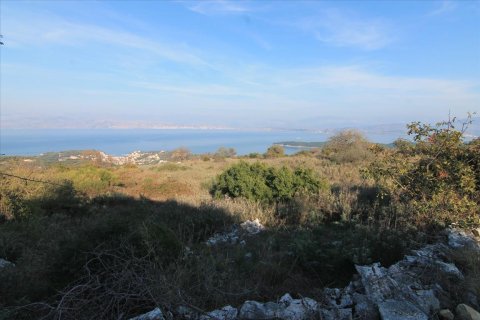 11000m² Land in Corfu, Greece No. 57799 2