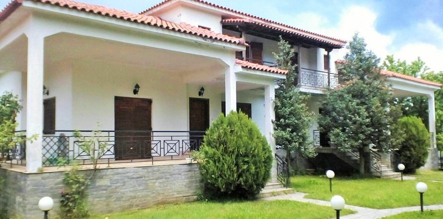 7 chambres House à Chalkidiki, Greece No. 57802