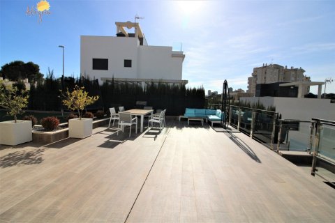 8 bedrooms Villa in La Zenia, Spain No. 25098 13