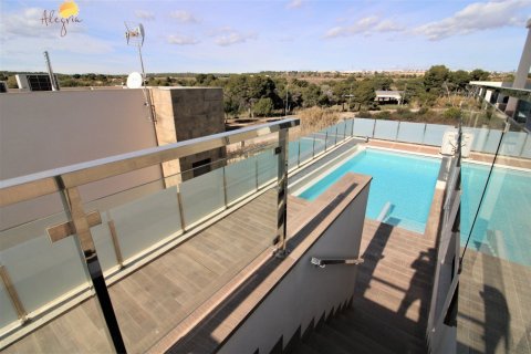 8 dormitorios Villa en La Zenia, Spain No. 25098 2