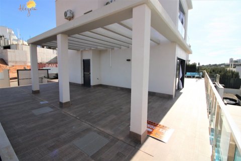 8 chambres Villa à La Zenia, Spain No. 25098 16