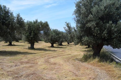 5400m² Land in Rethymno, Greece No. 58774 1