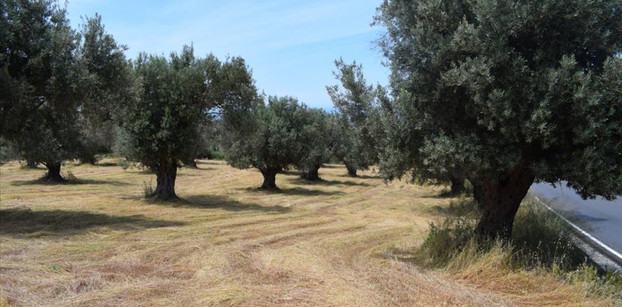 5400m² Land à Rethymno, Greece No. 58774