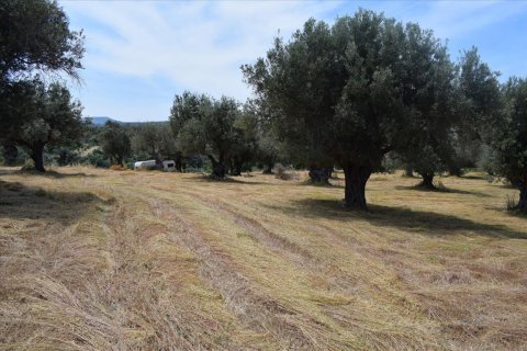 5400m² Land in Rethymno, Greece No. 58774 2