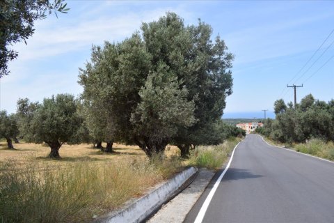 5400m² Land à Rethymno, Greece No. 58774 4