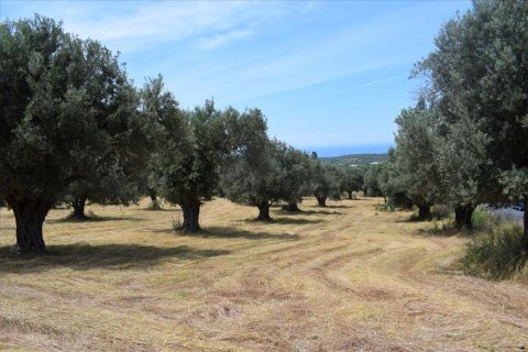 5400m² Land in Rethymno, Greece No. 58774 3