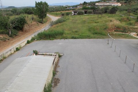 1072m² Business in Chalkidiki, Greece No. 58778 14