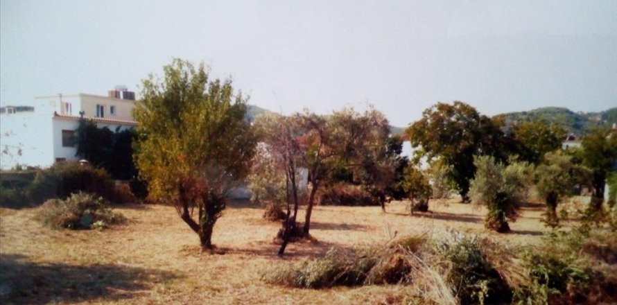 3500m² Land en Sporades, Greece No. 58781