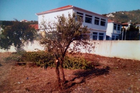 3500m² Land in Sporades, Greece No. 58781 3