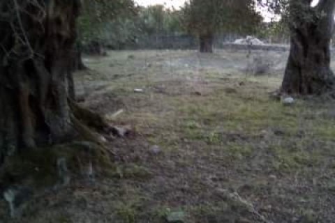 2537m² Land in Thesprotia, Greece No. 56644 6