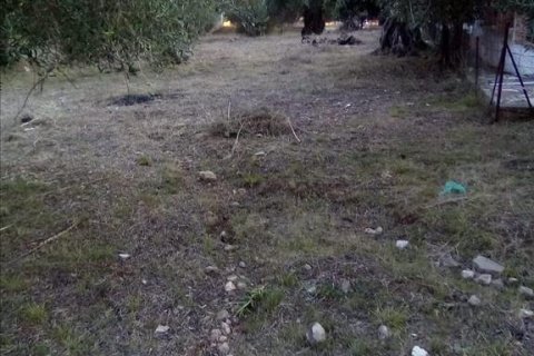 2537m² Land à Thesprotia, Greece No. 56644 23