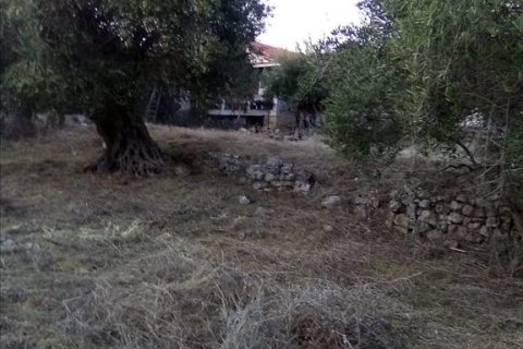 2537m² Land à Thesprotia, Greece No. 56644 13