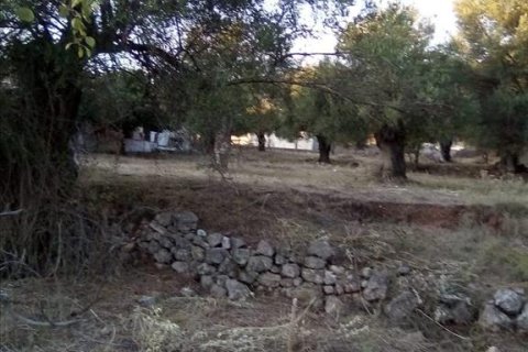 2537m² Land à Thesprotia, Greece No. 56644 28