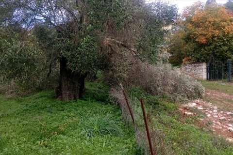 2537m² Land in Thesprotia, Greece No. 56644 20