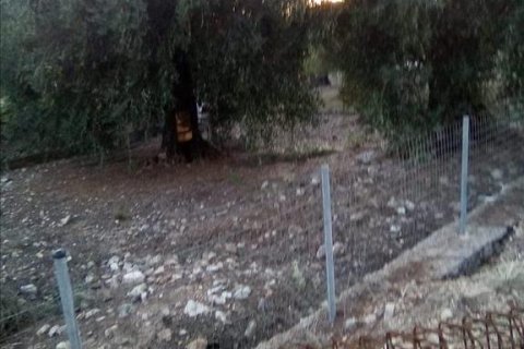 2537m² Land in Thesprotia, Greece No. 56644 21