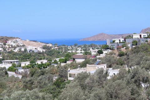 4+1 Villa en Bodrum, Turkey No. 16656 6