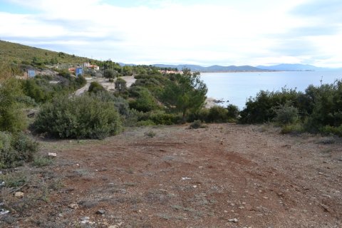 4913m² Land à Polygyros, Greece No. 58881 1