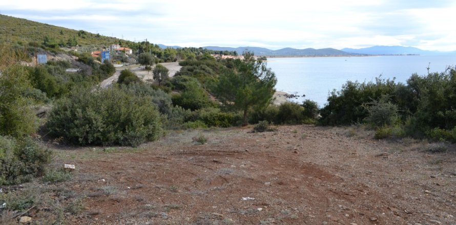 4913m² Land in Polygyros, Greece No. 58881