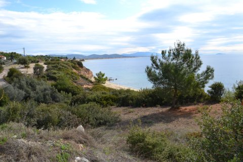 4913m² Land en Polygyros, Greece No. 58881 5