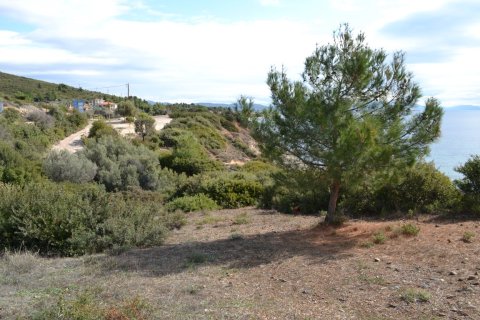 4913m² Land in Polygyros, Greece No. 58881 2