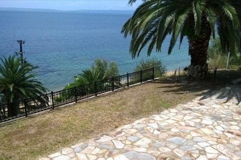 400m² Villa in Chalkidiki, Greece No. 56514 4