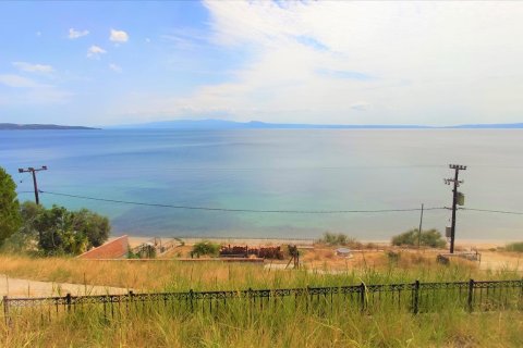 400m² Villa in Chalkidiki, Greece No. 56514 5