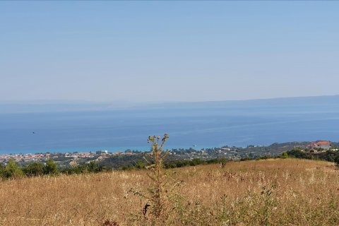 12000m² Land en Chalkidiki, Greece No. 56513 3