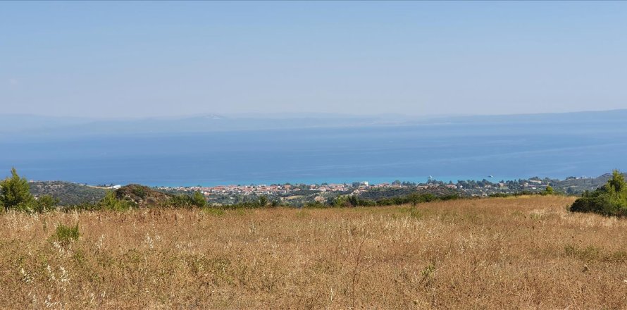 12000m² Land en Chalkidiki, Greece No. 56513