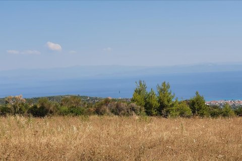 12000m² Land in Chalkidiki, Greece No. 56513 4