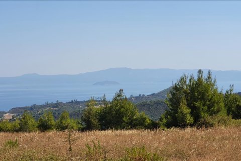 12000m² Land in Chalkidiki, Greece No. 56513 2