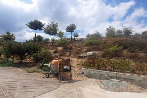 13912m² Land en Klirou, Cyprus No. 76086 7