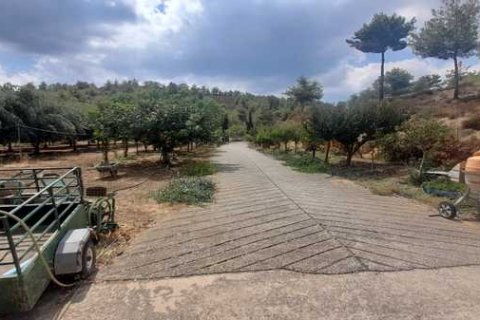 13912m² Land en Klirou, Cyprus No. 76086 6