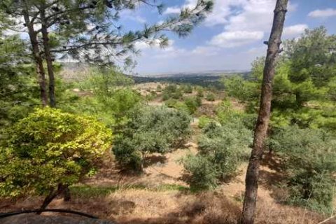 13912m² Land en Klirou, Cyprus No. 76086 2