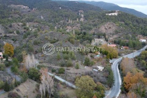 11212m² Land en Kato Platres, Cyprus No. 76091 6