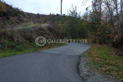 11212m² Land en Kato Platres, Cyprus No. 76091 4