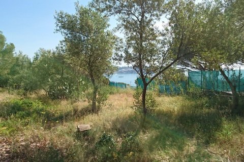 Land en Sant Feliu de Guíxols, Spain No. 26469 2